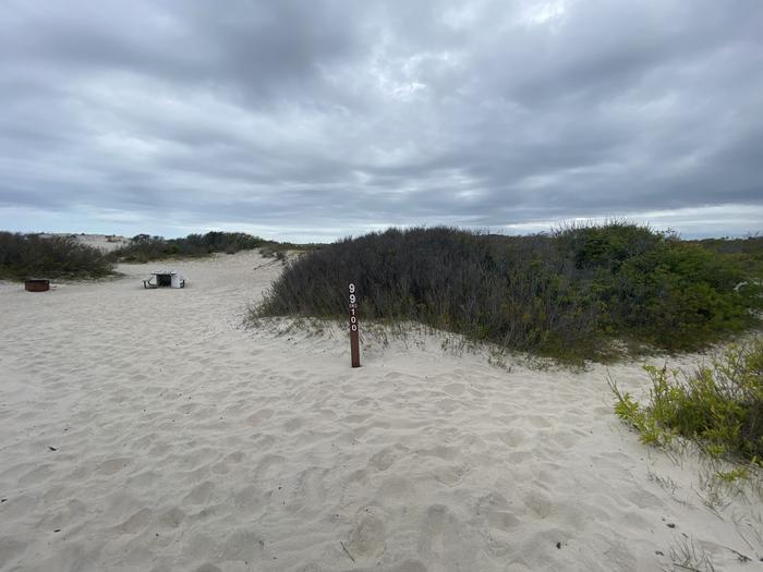 Oceanside site 100 in May. Sign post is the main focus.  It says 99 at the top with an arrow pointing to the right and 100 on it below that has an arrow pointing to the left.  To the left is the campsite with the wooden picnic table and black metal fire ring within view. Dunes surround the campsite.Oceanside site 100 in May.