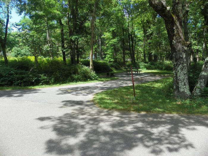 Campsite A92 has a level back in driveway, fire pit, picnic table, and grass tent pad. Standard site A92 has a level back in driveway, fire pit, picnic table, and grass tent pad. 