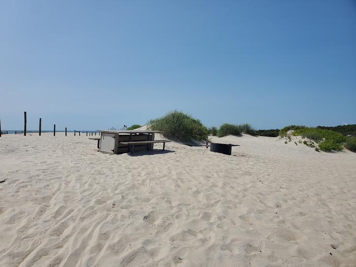 Oceanside site 101 in August.  View of the wooden picnic table and black metal fire ring on the sand.  Dunes behind the campsite on the right with dune fencing running along the beach to the left.  Sign post nearby says 101 on it.Oceanside site 101 in August.