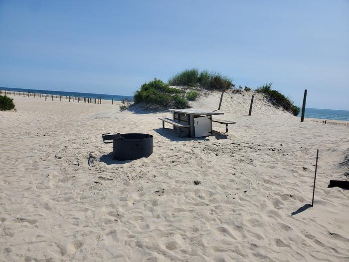 Oceanside site 101 in August.  View of the wooden picnic table and black metal fire ring on the sand.  Sign post is nearby with dune fencing running along the beach behind the campsite.  Ocean front is within the view on the horizon.Oceanside site 101 in August.