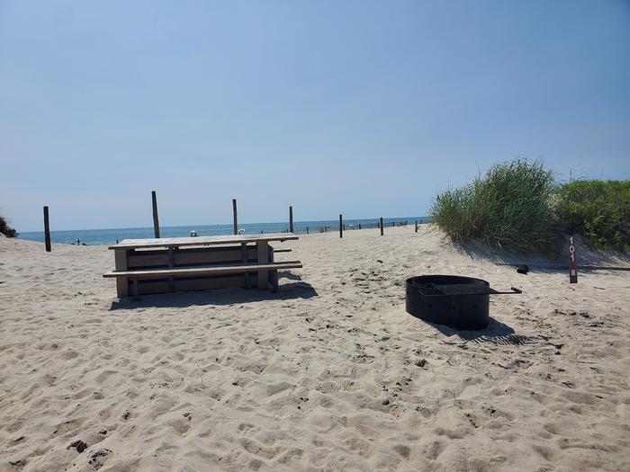 Oceanside site 101 in August.  View of the black metal fire ring and the wooden picnic table on the sand.  Dune fencing runs along the beach behind the campsite with ocean front on the horizon.Oceanside site 101 in August.