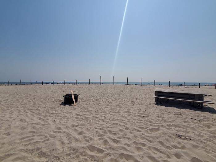 Oceanside site 103 in August.  View of the wooden picnic table and black metal fire ring on the sand.  Dune fencing runs along the beach front with ocean on the horizon.Oceanside site 103 in August.