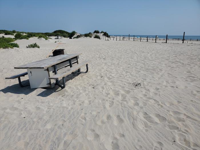 Oceanside site 103 in August.  View of the wooden picnic table and black metal fire ring on the sand.  Dunes are to the left of the campsite on the horizon with dune fencing to the right.  Ocean is within the view on the right.Oceanside site 103 in August.
