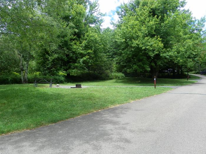 Campsite A98 has a level back in driveway, fire pit, picnic table, and grass tent pad. 