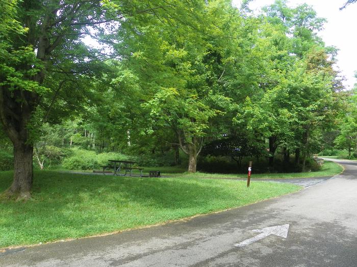 Campsite A100 has a level back in driveway, fire pit, picnic table, and grass tent pad. 