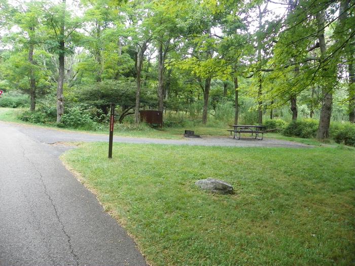 Campsite A102 has a level back in driveway, fire pit, picnic table, food storage box, and grass tent pad. 