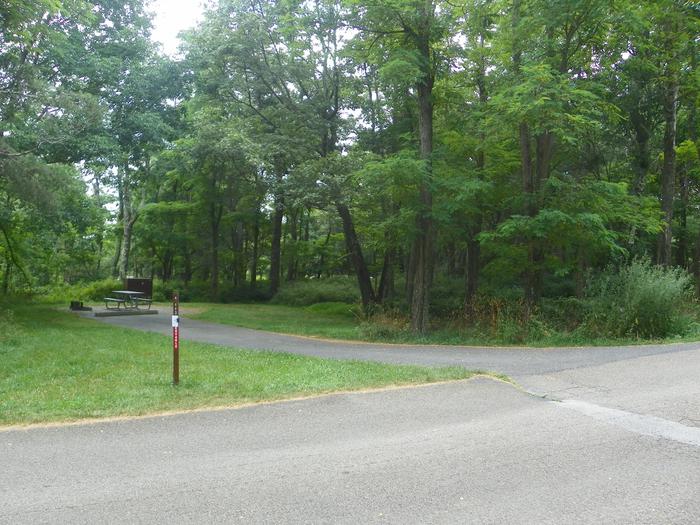 Campsite A103 has back in driveway, fire pit, picnic table, food storage box, and large grass tent pad. 