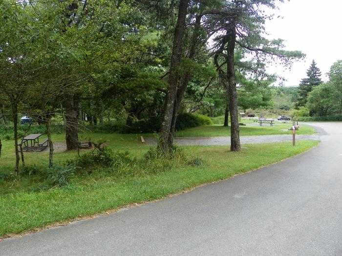 Campsite A60 has gravel driveway, grassy tent pad, picnic table, and fire ring. 