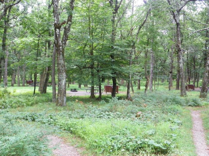 Dirt trails pass between green bushes, leading toward food storage boxes and picnic tables of walk to tent campsites in the distance.