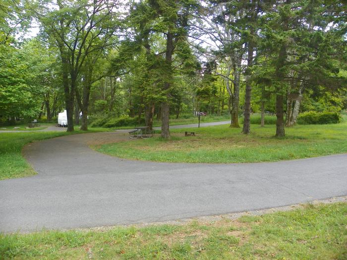 Campsite F198 has a pull through driveway, fire pit, picnic table, and grass lawn. 