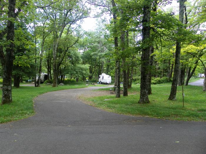 F199 has a pull through driveway, fire pit, picnic table, and grass lawn. 