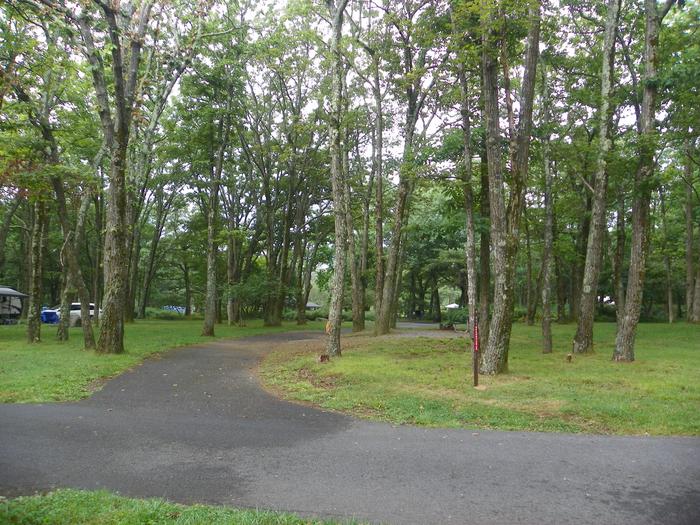 Entrance to site F201 is narrow as the driveway passes between two tree trunks. Picnic table, fire ring, and grass lawn to right of driveway.