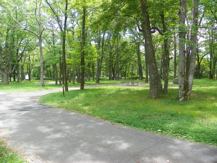 Campsite F202 has a pull through driveway, fire pit, picnic table, and grass lawn. 