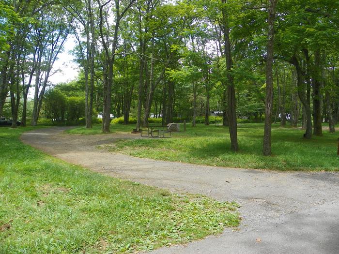 F202 pull through driveway with picnic table, fire ring, and grass lawn to the right.