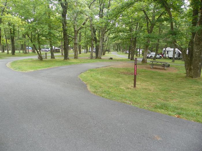 Campsite G204 has a pull through driveway, fire pit, picnic table, and grass lawn. 