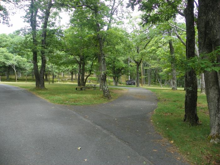 Campsite G204 pull through driveway, viewed from the exit. Driveway slopes from the entry down toward the exit.