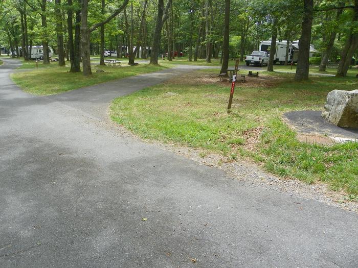 Campsite G205 has a pull through driveway, fire pit, picnic table, and grass lawn. 