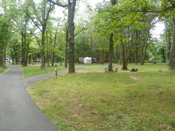 Campsite G206 has a pull through driveway, fire pit, picnic table, and grass lawn. 