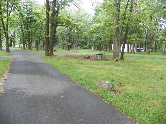 Campsite G207 has a pull through driveway, fire pit, picnic table, and grass lawn. 