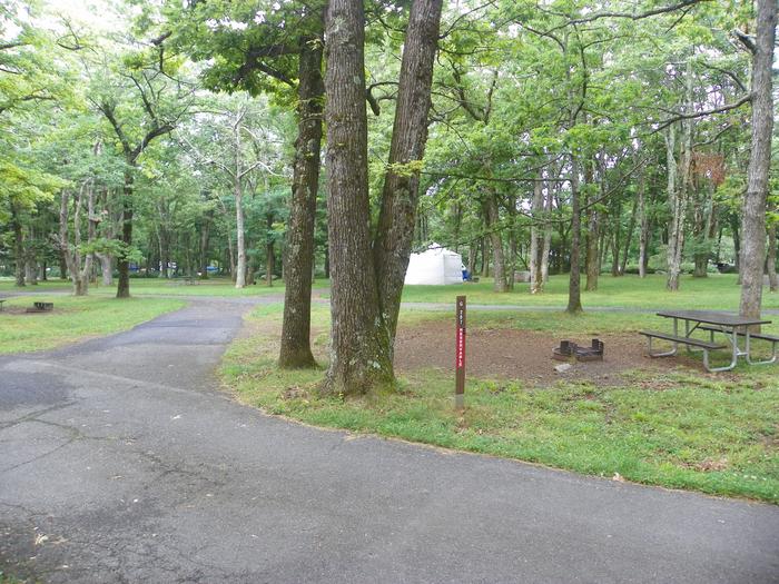 G207 pull through driveway, with a large tree trunk close to the right side of the entrance. Picnic table and fire ring surrounded by grass lawn on the right.