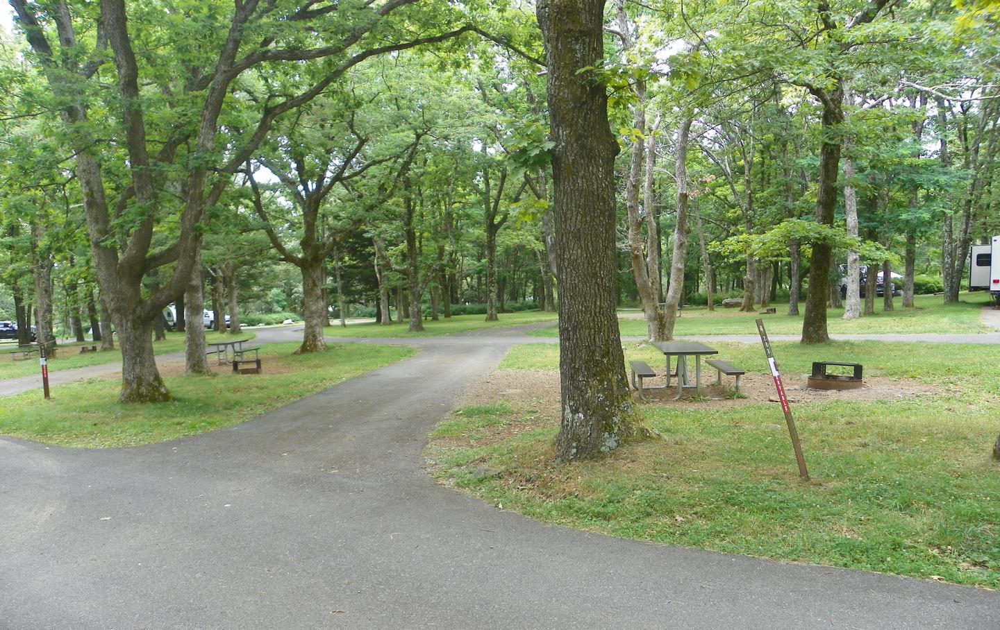 G208 pull through driveway passes between two trees at the entrance to the site. Picnic table, fire ring, and grass lawn to the right.