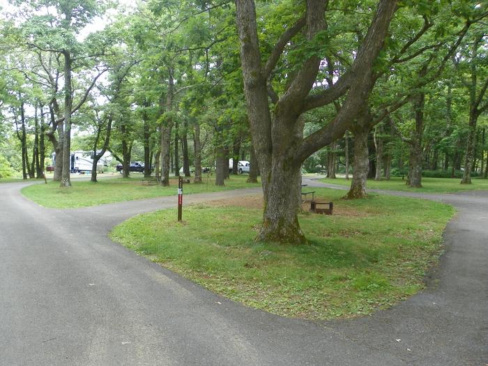 Campsite G209 has a pull through driveway, fire pit, picnic table, and small grass lawn. 