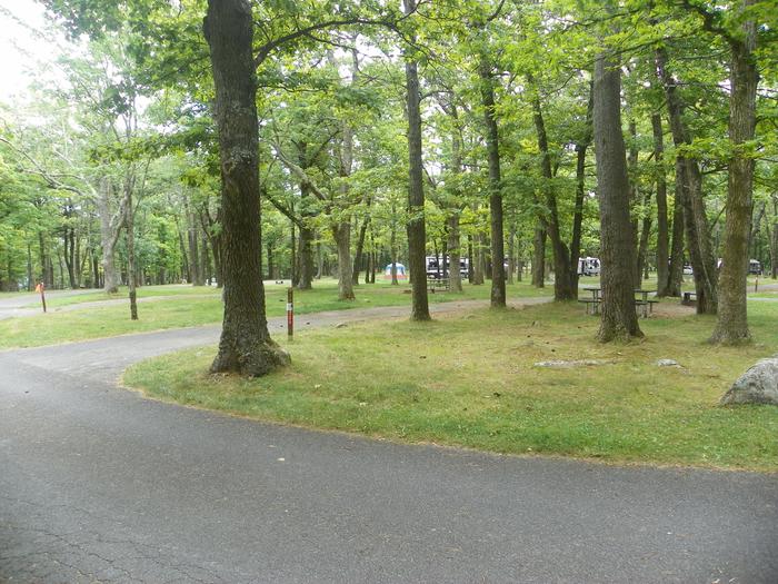 Campsite H211 has a pull through driveway, fire pit, picnic table, and grass lawn. 