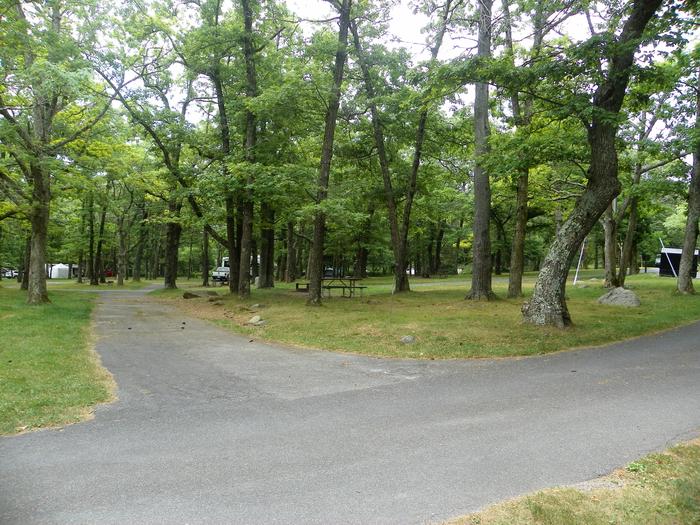 H211 long pull through driveway, with a tree at the right corner of the entrance. Picnic table and fire ring surrounded by grass lawn.