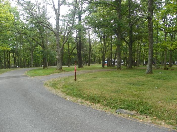 Campsite H212 has a pull through driveway, fire pit, picnic table, and grass lawn. 