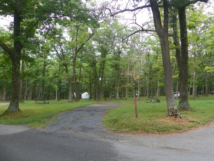 Campsite H214 has a pull through driveway, fire pit, picnic table, and grass lawn. 