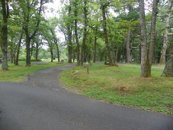 Campsite H217 has a pull through driveway, fire pit, picnic table, and grass lawn.