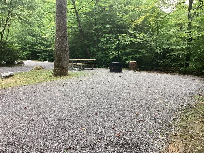 A photo of Site 007 of Loop River at BLACK MOUNTAIN CAMPGROUND with Picnic Table, Fire Pit, Shade, Waterfront, Lantern Pole