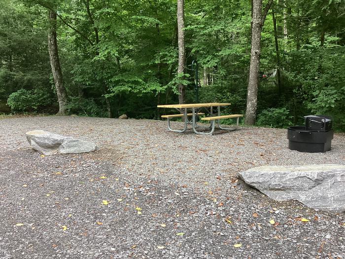 A photo of Site 011 of Loop River at BLACK MOUNTAIN CAMPGROUND with Picnic Table, Fire Pit, Shade, Lantern Pole