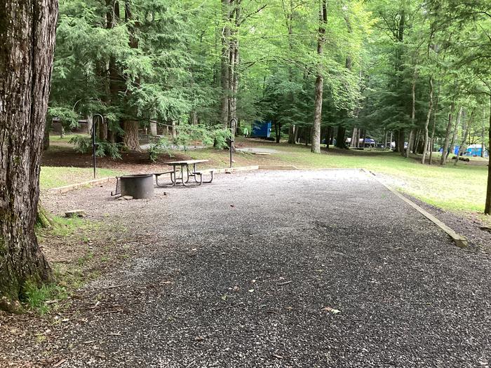 A photo of Site 034 of Loop Upper at BLACK MOUNTAIN CAMPGROUND with Picnic Table, Fire Pit, Shade, Lantern Pole