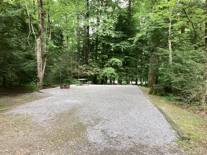 A photo of Site 021 of Loop Upper at BLACK MOUNTAIN CAMPGROUND with Picnic Table, Fire Pit, Shade, Lantern Pole