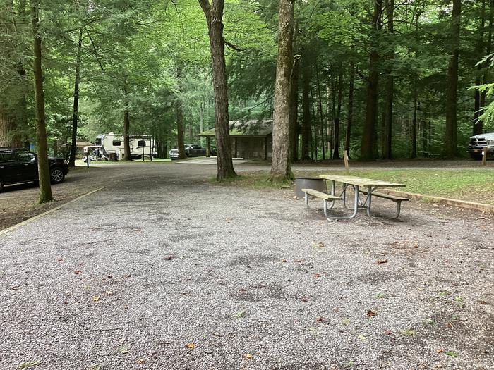 A photo of Site 034 of Loop Upper at BLACK MOUNTAIN CAMPGROUND with Picnic Table, Fire Pit, Shade, Lantern Pole