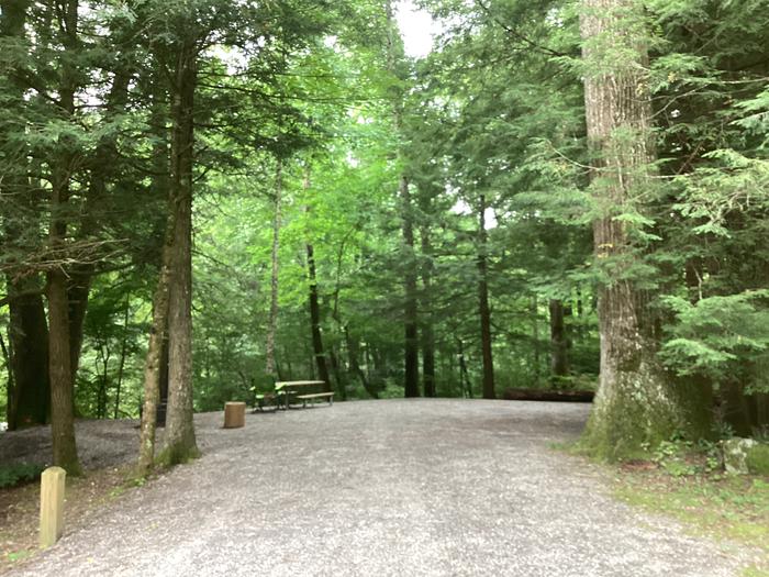 A photo of Site 040 of Loop Upper at BLACK MOUNTAIN CAMPGROUND with Picnic Table, Fire Pit, Shade, Lantern Pole