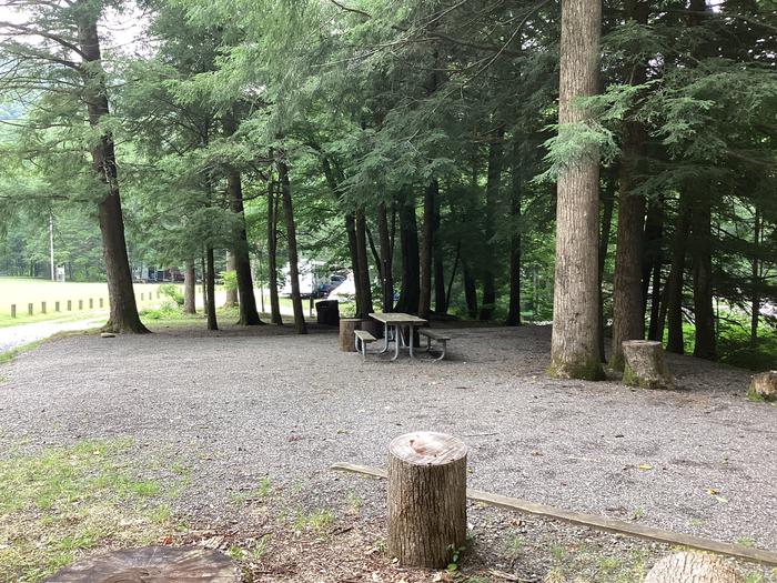 A photo of Site 043 of Loop Upper at BLACK MOUNTAIN CAMPGROUND with Picnic Table, Fire Pit, Shade, Lantern Pole