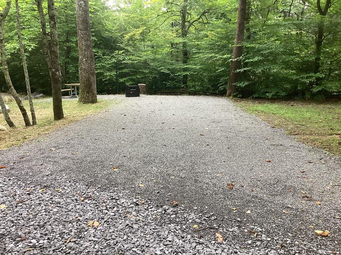 A photo of Site 007 of Loop River at BLACK MOUNTAIN CAMPGROUND with Picnic Table, Fire Pit, Shade, Waterfront, Lantern Pole