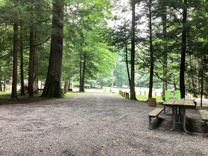 A photo of Site 040 of Loop Upper at BLACK MOUNTAIN CAMPGROUND with Picnic Table, Fire Pit, Shade, Lantern Pole