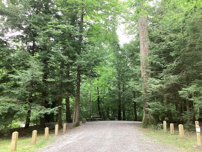 A photo of Site 040 of Loop Upper at BLACK MOUNTAIN CAMPGROUND with Picnic Table, Fire Pit, Shade, Lantern Pole