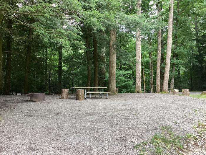 A photo of Site 043 of Loop Upper at BLACK MOUNTAIN CAMPGROUND with Picnic Table, Fire Pit, Shade, Lantern Pole