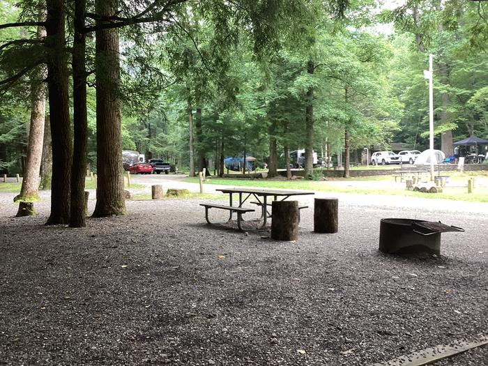 A photo of Site 043 of Loop Upper at BLACK MOUNTAIN CAMPGROUND with Picnic Table, Fire Pit, Shade, Lantern Pole