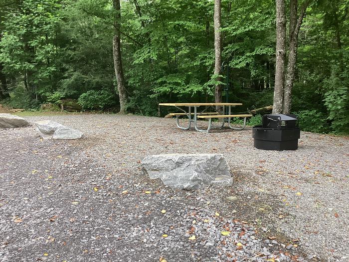 A photo of Site 011 of Loop River at BLACK MOUNTAIN CAMPGROUND with Picnic Table, Fire Pit, Shade, Lantern Pole