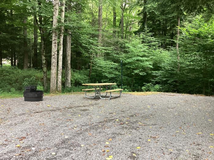 A photo of Site 010 of Loop River at BLACK MOUNTAIN CAMPGROUND with Picnic Table, Electricity Hookup, Fire Pit, Shade, Lantern Pole