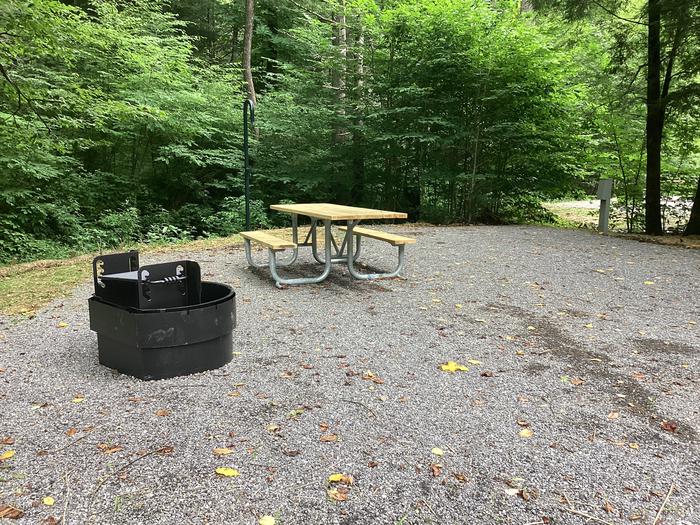 A photo of Site 010 of Loop River at BLACK MOUNTAIN CAMPGROUND with Picnic Table, Electricity Hookup, Fire Pit, Shade, Lantern Pole