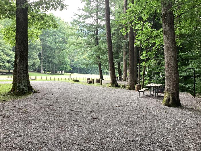 A photo of Site 042 of Loop Upper at BLACK MOUNTAIN CAMPGROUND with Picnic Table, Fire Pit, Shade, Lantern Pole