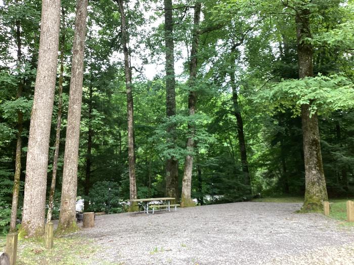 A photo of Site 042 of Loop Upper at BLACK MOUNTAIN CAMPGROUND with Picnic Table, Fire Pit, Shade, Lantern Pole