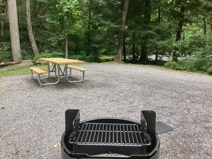 A photo of Site 008 of Loop River at BLACK MOUNTAIN CAMPGROUND with Picnic Table, Fire Pit, Shade, Lantern Pole