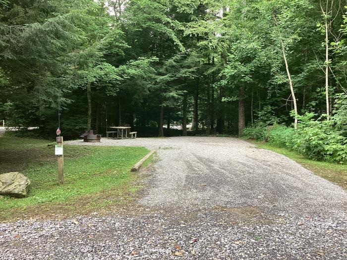 A photo of Site 017 of Loop River at BLACK MOUNTAIN CAMPGROUND with Picnic Table, Fire Pit, Shade, Lantern Pole